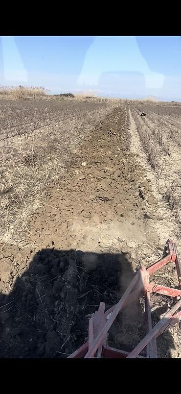 249 sot, Kənd təsərrüfatı, Mülkiyyətçi, Kupça (Çıxarış)