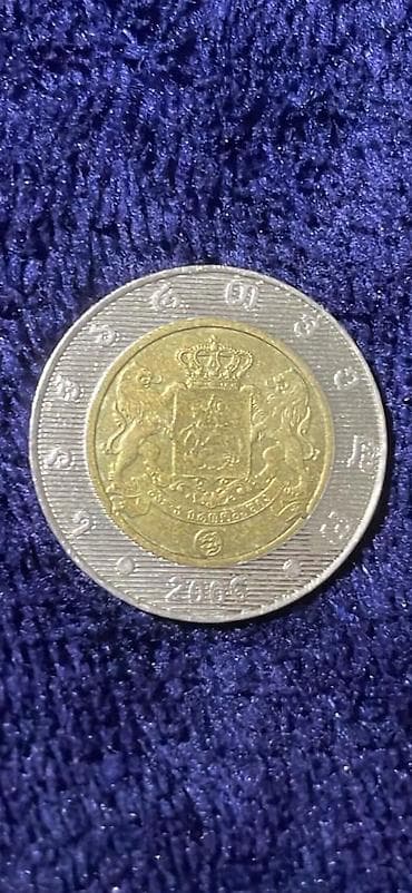 kross evado 1: 2 2006 il — 1