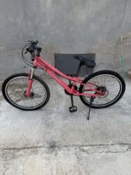 berkut velosiped: İdman velosipedləri — 1