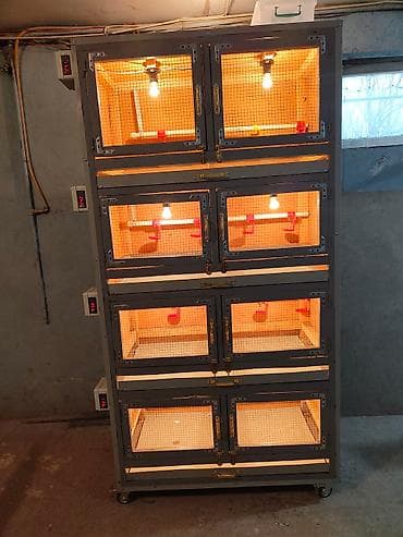 İnkubatorlar: Şəxsi təsərrüfat qurmaq isdəyirsən? biznes yaratmaq isdəyirsən? onda — 8