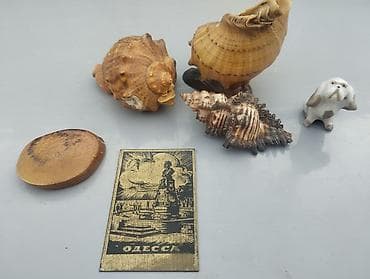 şaxta baba oyunu: Dəniz mövzulu dekorativ dəst Tərkib: - 3 ədəd iri/orta ölçülü dəniz — 1