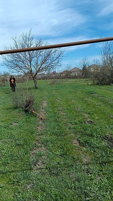 sibrizde satilan evler: 10 sot, Biznes üçün, Mülkiyyətçi, Kupça (Çıxarış) — 3