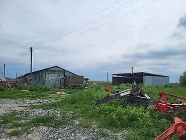 binəqədi həyət evləri: 26000 sot, Kənd təsərrüfatı, Kupça (Çıxarış) — 9