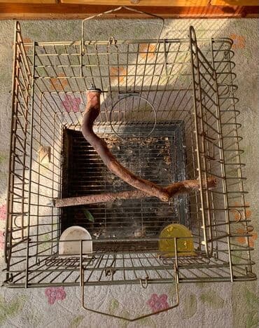 Çaydanlar: Quş qəfəsi - Material: metal karkas, çıxarılan plastik altlıq — 3