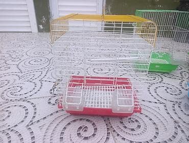 yemlər: Hamsi birlikde 30 manatQuş qəfəsləri dəsti - Müxtəlif ölçü və — 5