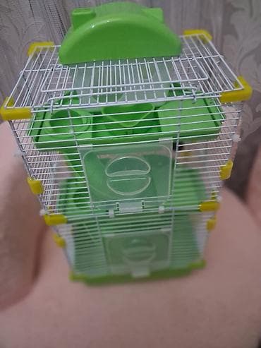 Собаки: Salam hamster qefesi tezedir islenilmeyib.unvan 9mkr — 2