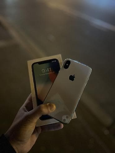 IPhone X, 256 GB, Matte Silver, Face ID