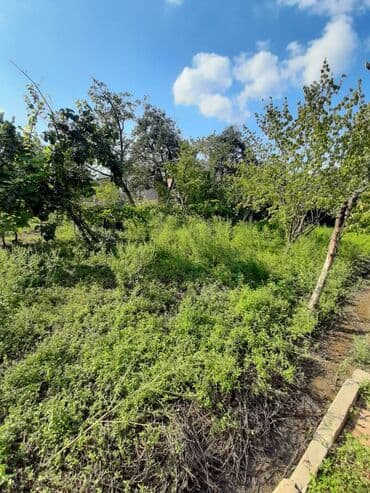 torpağ sahesi: 7 sot, Tikinti, Makler, Kupça (Çıxarış) — 7