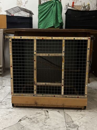 клетки для бойцовых петухов: Təzədir siyirməli qəfəsdi böyük quşlar üçündə çox uyğundu — 1