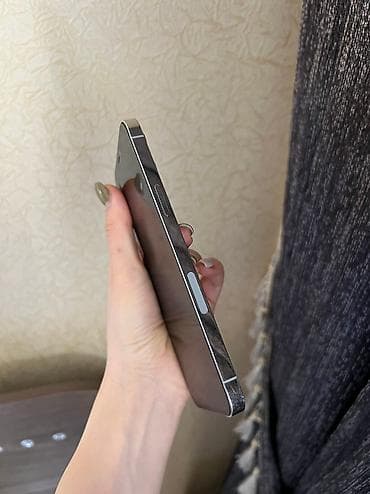 apple 5 s: IPhone 12 Pro Max, 256 GB, Ağ, Face ID, Barmaq izi — 6