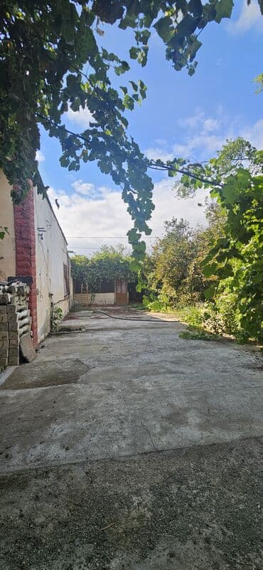 аренда продажа земельных участков: 48 sot, Kənd təsərrüfatı, Kupça (Çıxarış) — 19