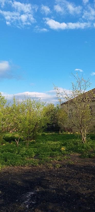 mingecevir torpaq: 20 sot, Kənd təsərrüfatı, Mülkiyyətçi, Kupça (Çıxarış) — 6