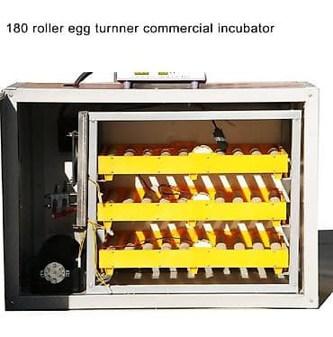 Inkubator inqibator inkibator inqubator Sənaye tipli inkubatorlar 256 — 4