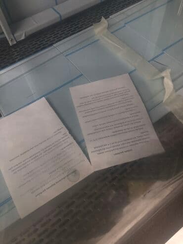 Məhsul: ASLANMAKİNA Şüşəli soyuducu vitrin (market/kafe üçün)