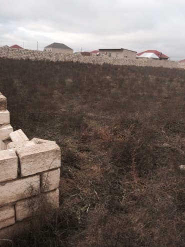 sabuncu kredit: Tikinti — 2