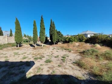 sabuncu qəsəbəsi: 25 sot, Mülkiyyətçi, Kupça (Çıxarış) — 1
