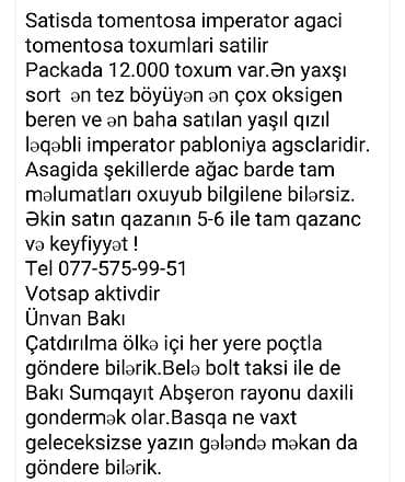 etotu bitkisi: Paulownia Tomentosa toxumları – premium sort Məhsul: - Paket: zipli — 5