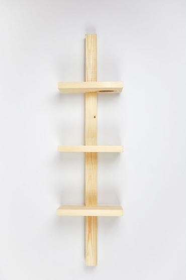Bitkilər: ​Təbiiliyin rəngi hər zaman fərqlidir. ✨ ​Minimalist dizaynları — 1