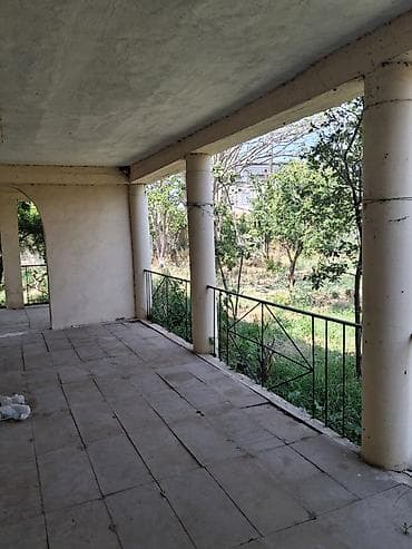 bine sovxoz evler: 12 sot, Mülkiyyətçi, Kupça (Çıxarış) — 2