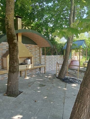 bağ yellencekleri: Şamaxı şəhəri çuxuryurd kəndi Yaşıl ağaclarla əhatələnmiş həyətyanı — 10