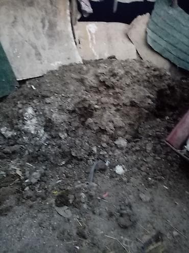 kreditle inekler: MAL QARA PEYİNİ MAL AYRI KEÇİ QOYUNUN PEYNİ AYRI — 1
