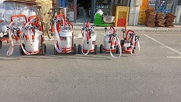 cins ineklerin satisi: Tək bidon, Türkiyə, Paslanmaz bidon — 8