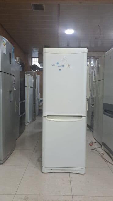 Техника для напитков: 2 двери Ardo Холодильник Продажа, цвет - Белый — 5