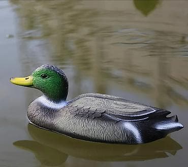 plastik ayna: Fiqur, Plastik, rəng - Yaşıl — 3