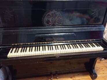 qara corek otu yagi: Bütün dilləri işləyir yaxşı vəziyyətdədir — 1