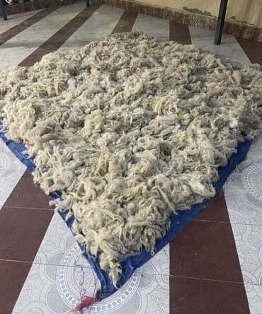 3 dəfə Yuyulub çırpılıb, tərtəmizdir . Çəkisi 12 kilodur lalafo.az -da 3 dəfə Yuyulub çırpılıb, tərtəmizdir . Çəkisi 12 kilodur