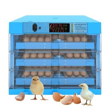 sud sagan aparatlar: 300 yumurta, Çin, Fabrik istehsalı, Tam avtomat, Bütün növ quşlaq üçün — 1