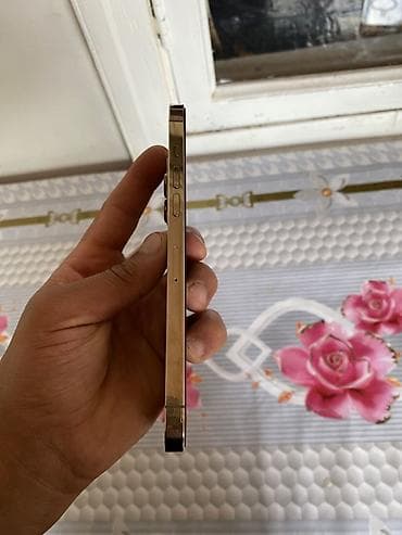 IPhone 12 Pro Max, 128 GB, Qızılı, Face ID — 5