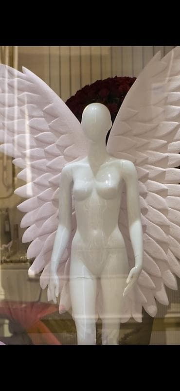 самка: Женский, Белый — 3