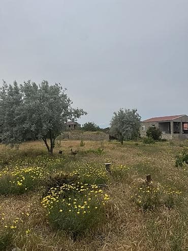 heyet evi per page 40: Tikinti — 5