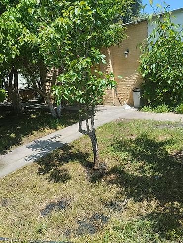 Həyət evləri və villaların satışı