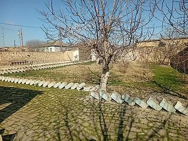 3 sot, Tikinti, Maklerlər narahat etməsin, Kupça (Çıxarış)