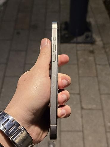 iphone 14 pro max qiymet: IPhone 15 Pro, 256 GB, Gümüşü, Face ID — 4