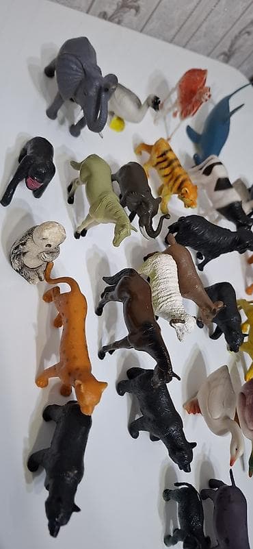 usaq masn: Ev Heyvanları 31 ededi şəkildə nə görürsüzə hamsı verilecek sağlam — 5