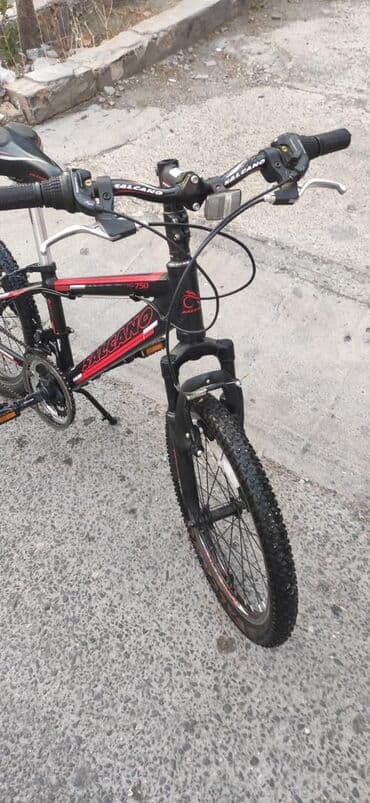 perdok velosbet: Velosipet 20 lik. Az istifade edilib. Qiymet 140 azn Alinib 650 azn — 3