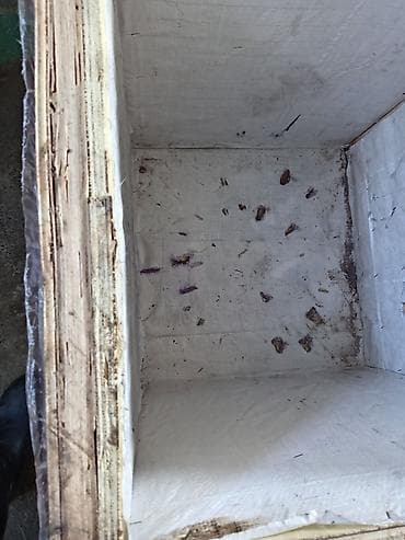 termo boks: Arı yeşikləri iTermo-izolyasiyalı taxta konteyner/qutu - Korpus — 4