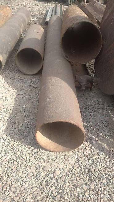 zvonok it satisi: 1 ay, Erkek, Ünvandan götürmə — 7