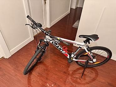 mini velosiped: Giant Rincon dağ velosipedi - Çərçivə: yüngül alyumini (ALUXX) — 4