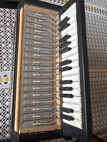 Akustik Akkordeon, Yeni, Ünvandan götürmə, Ödənişli çatdırılma lalafo.az -da Akustik Akkordeon, Yeni, Ünvandan götürmə, Ödənişli çatdırılma