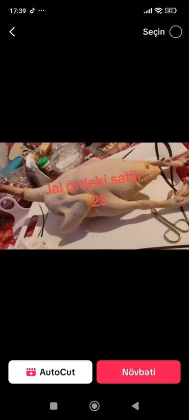 Məhsul: Təmizlənmiş lal ördək (kəsilmiş, təmizlənmiş halda) Təsvir: -