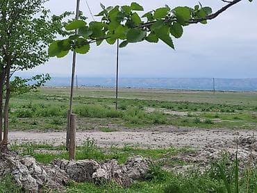 binəqədi həyət evləri: 26000 sot, Kənd təsərrüfatı, Kupça (Çıxarış) — 3