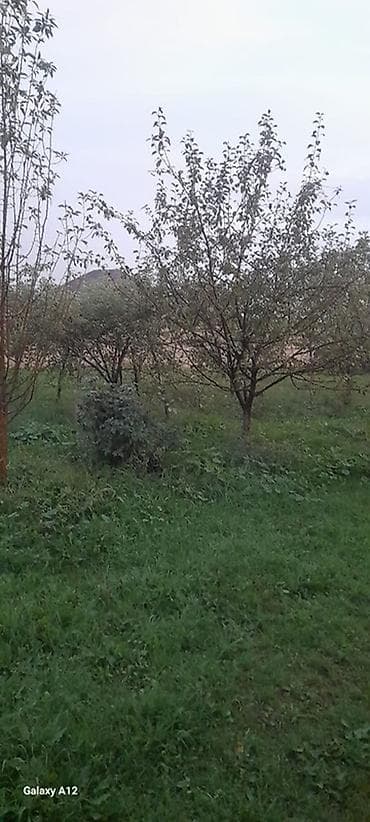 nardaran torpaq satilir: 6 sot, Tikinti, Maklerlər narahat etməsin, Kupça (Çıxarış) — 3