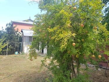 ferma torpaq: 24 sot, Tikinti, Makler, Kupça (Çıxarış) — 15