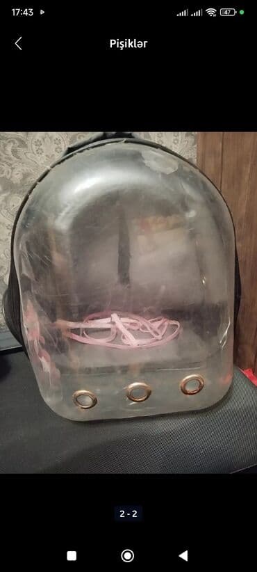 Digər heyvanlar: .Ayrıca qiymətə yemək qabıvannasıda var münasib qiyməte razılaşmaq — 1