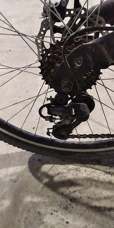 velosibed 24 lük: Olympia Sporty uşaq/yeniyetmə velosipedi - Rəng: mavi-qara - Çərçivə — 4