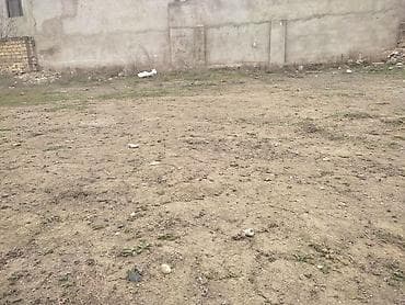 Дачи: 6 соток — 4